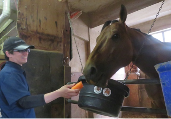 名前入り調教ゼッケン！！！ | 南関魂 高橋華代子の南関東競馬ブログ