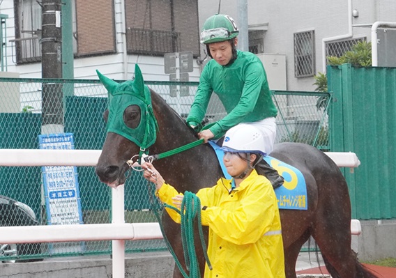 ゴールドシップ 優勝記念プレミアム写真集 遥かなる蹄跡 ゴールドシップ 優勝記念プレミアム写真集 遥かなる蹄跡 (南関