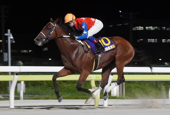未使用の競走馬用蹄鉄1頭分を飾ったボード 思お