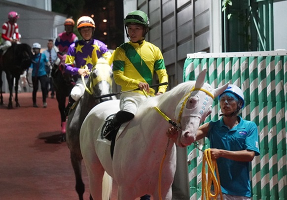 白毛のスーパーアイドル・アオラキ～ | 南関魂 高橋華代子の南関東競馬