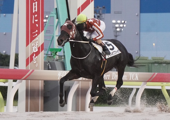 11月5日大井4R新馬、ナイトオブファイア優勝！ | 南関魂 高橋華代子