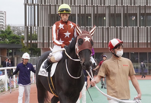 11月5日大井4R新馬、ナイトオブファイア優勝！ | 南関魂 高橋華代子