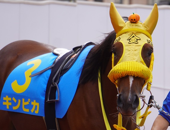 浦和開催が始まります！ | 南関魂 高橋華代子の南関東競馬ブログ
