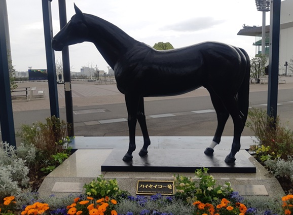 南関魂 高橋華代子の南関東競馬ブログ