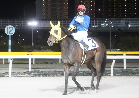 石崎駿騎手、ラストライドを終えて | 南関魂 高橋華代子の南関東競馬ブログ
