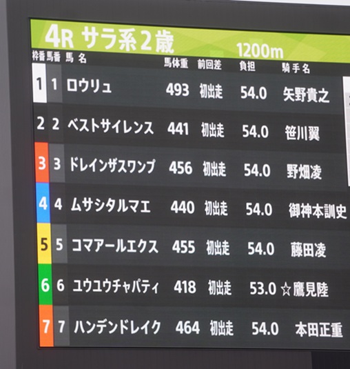 5月19日大井4R新馬、ハンデンドレイク優勝！ | 南関魂 高橋華代子の