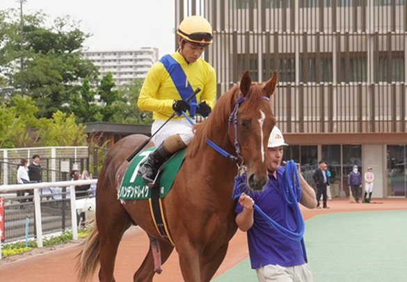 5月19日大井4R新馬、ハンデンドレイク優勝！ | 南関魂 高橋華代子の