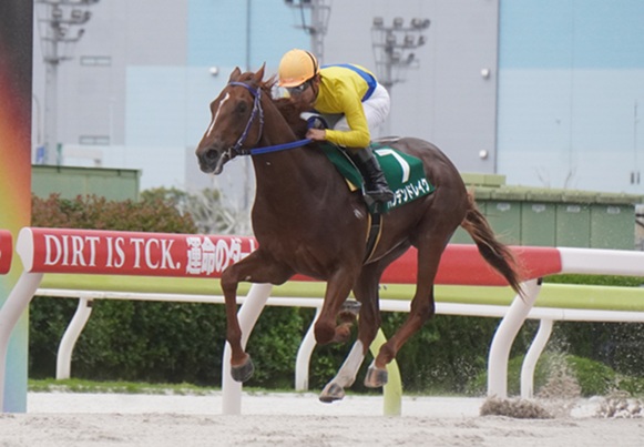 ファイター南井とお手馬4騎　報道写真集　限定保存版　希少 名馬クリアファイルセット（7枚組）ディープインパクト／イメージ