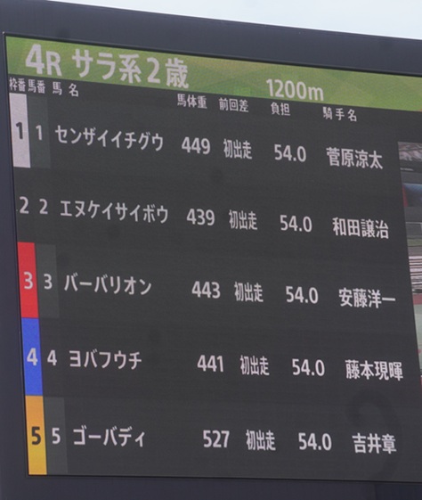 6月30日大井4R新馬、バーバリオン優勝！ | 南関魂 高橋華代子の南