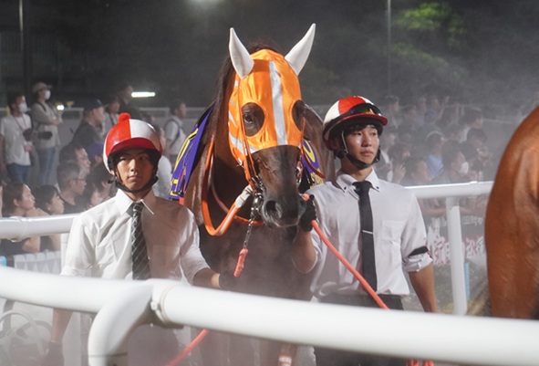 東京記念、マルカンラニ＆松﨑正泰騎手優勝！ | 南関魂 高橋