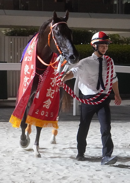 マルカンラニ@7日発送 マルカンラニ (Marukan Lani) | 競走馬データ