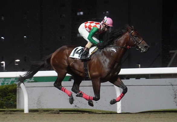 追記あり）～矢野貴之騎手～ | 南関魂 高橋華代子の南関東競馬ブログ