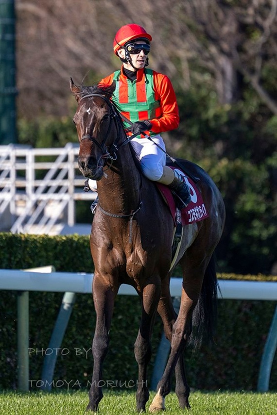 【美品・現地】2001 皐月賞 アグネスタキオン 単勝的中馬券 中山競馬場 美品・現地】2001 皐月賞 アグネスタキオン 単勝的中馬券 中山競馬場