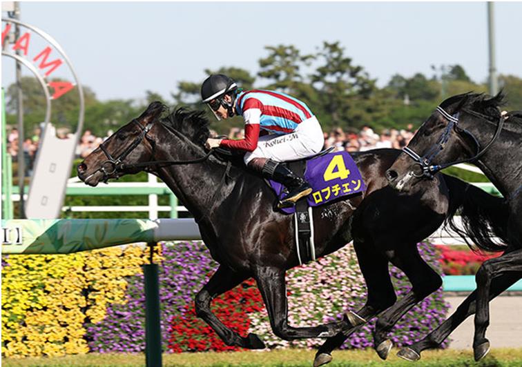 日本ダービー | 競馬会の演出