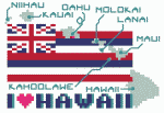 hawaiian_mini2