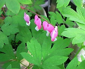 201005041646001.jpg