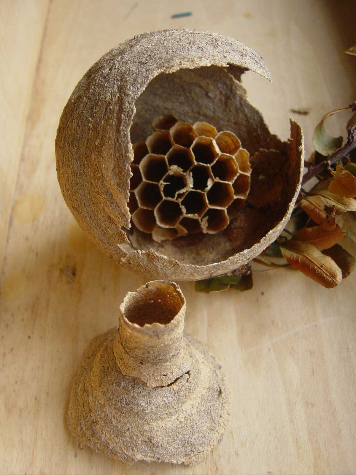 内部構造 | びっくり工房