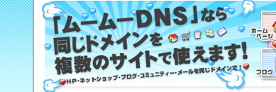 ࡼࡼDNS