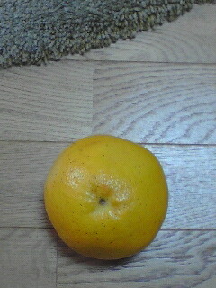 080620grape-fruit.jpg