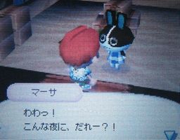 おいでよ どうぶつの森 Animal Crossing:Wild World[北米版DS](中古)おいでよどうぶつの