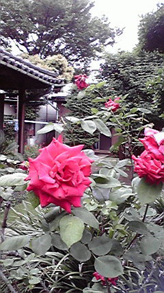 2011052311540002.jpg