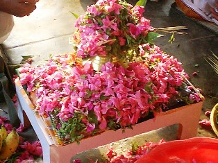 nvagraha-flower