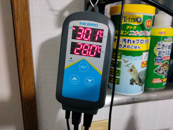 電電電波　あのちゃん　新品敷きパッド 4種 バラ売り 電電電波 あのちゃん 新品敷きパッド 4種 バラ売り（武井観光