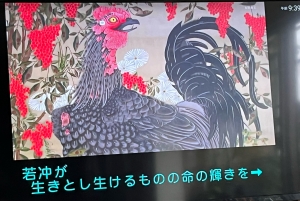 伊藤若冲のマス目書き | 内山 斉放 「SEIHOな日々」