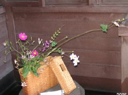 Japanese beauty berry 〜紫式部のブランケット〜 backend=imagemagick;version=1;