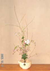 花材 紫式部 MATERIAL /JAPANESE BEAUTY BERRY | はな Ikebana