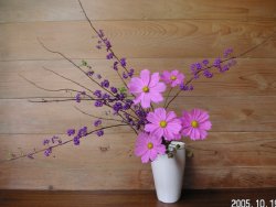 Japanese beauty berry 〜紫式部のブランケット〜 Japanese beauty berry 〜紫式部のブランケット〜 Japanese