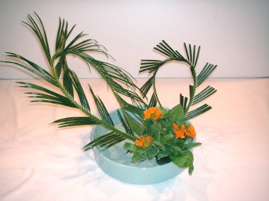 今週の輝き11月3-2 | はな Ikebana and Flower