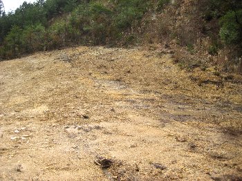 紫水晶 自己採集 原石 石川県 楽天市場】紫水晶原石の通販