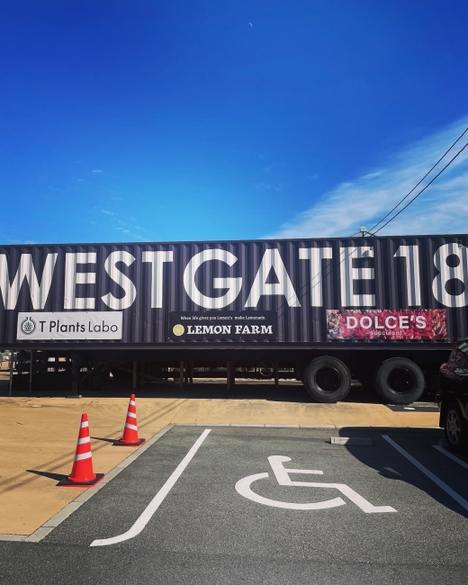 WESTGATE18　とうはち　カラフルタウン　多肉　塊根　観葉植物　大型店　岐阜　かっこいい　おしゃれ　アメリカン　素敵な店　品揃え