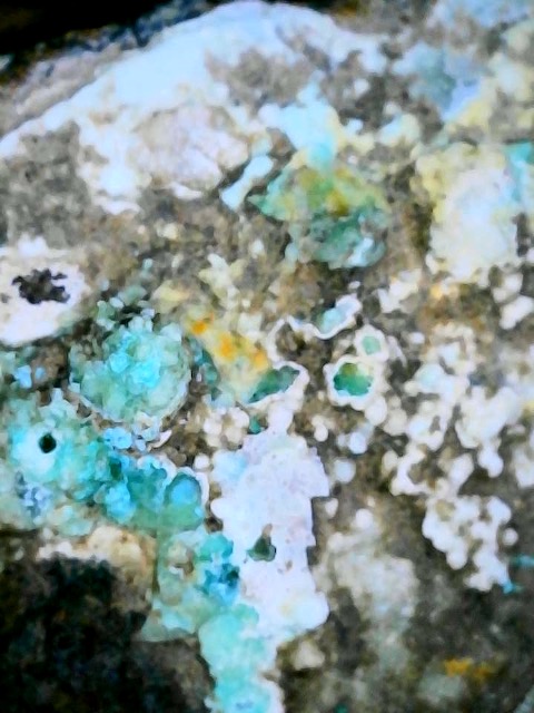 岐阜のGさんと金属鉱物を探す会「異極鉱 hemimorphite」 | マホガニー