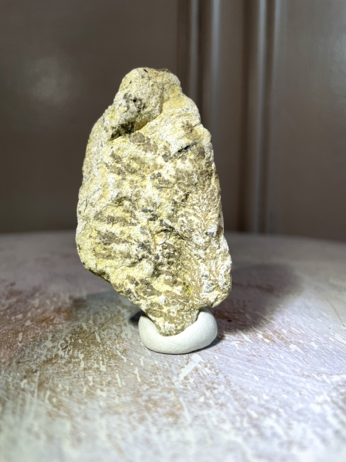 岐阜のGさんと金属鉱物を探す会「忍石(Dendrite