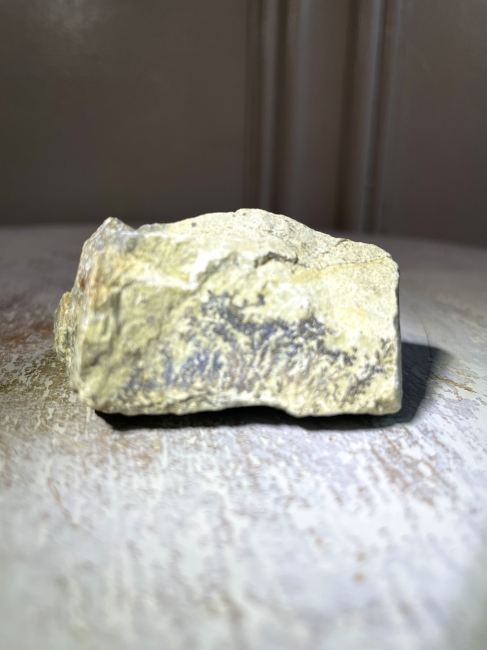 岐阜のGさんと金属鉱物を探す会「忍石(Dendrite