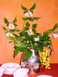 okamoto-flower-vase-spring2008richesse