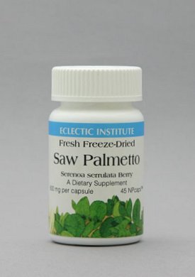 saw palmetto 45.jpg