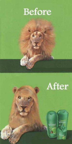 funny-before-and-after-pics13.jpg