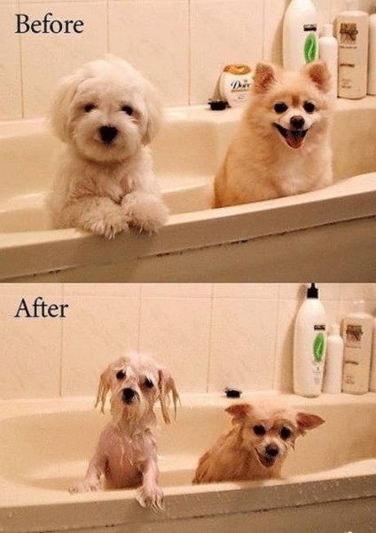 funny-before-and-after-pics09.jpg