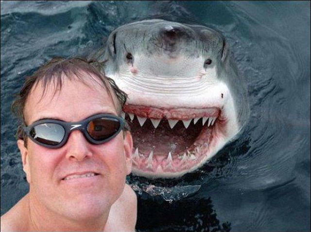 animal_photobombs_that_are_simply_classic_640_05.jpg