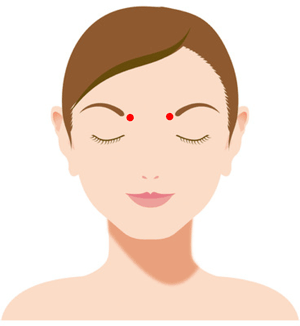 攅竹 | はり灸リーフ・・・・はりとお灸の森