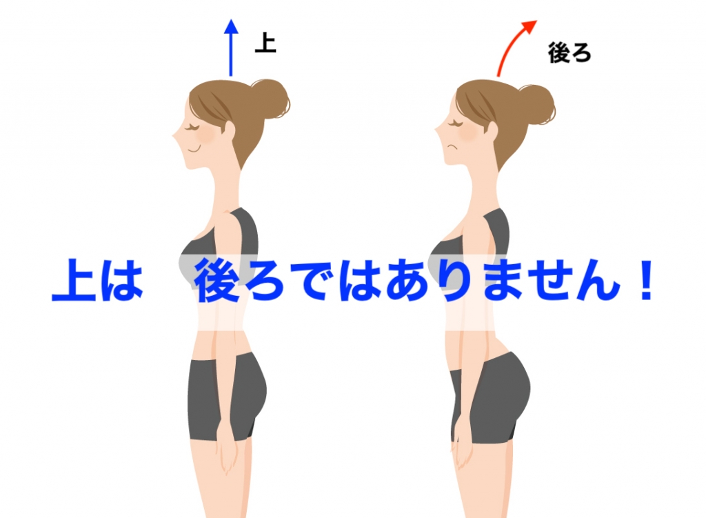 上は 後ろではなく「上」なんです - 力が抜ける！思うように身体が動く！ ＜踊る身体のコツと骨＞