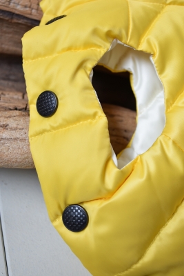 新作シチリアレモン ダウン発売！【早割9/20まで