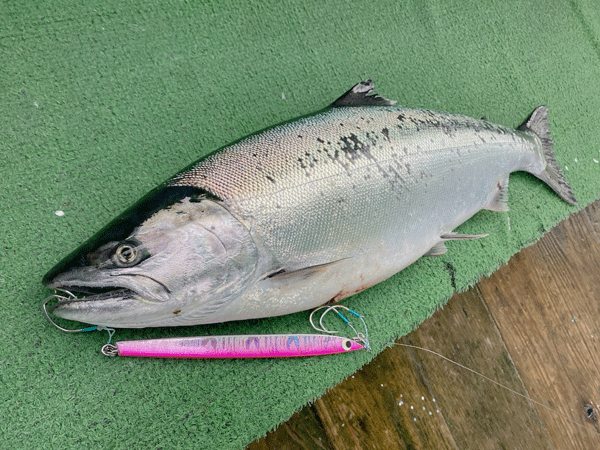 TOP RANGE釣行会・下北半島サクラマスジギング3月まとめ TOP RANGE釣行会・下北半島サクラマスジギング3月まとめ