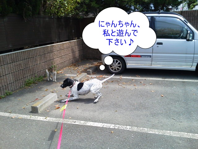 2012041311150002.jpg