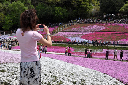 2013-hitsujiyama-013.jpg