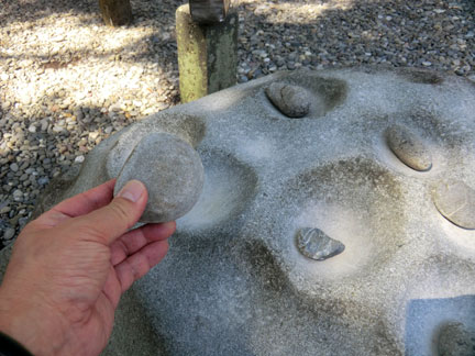 CIMG7805.jpg