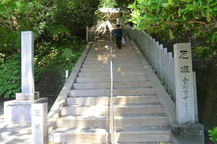 CIMG7830.jpg